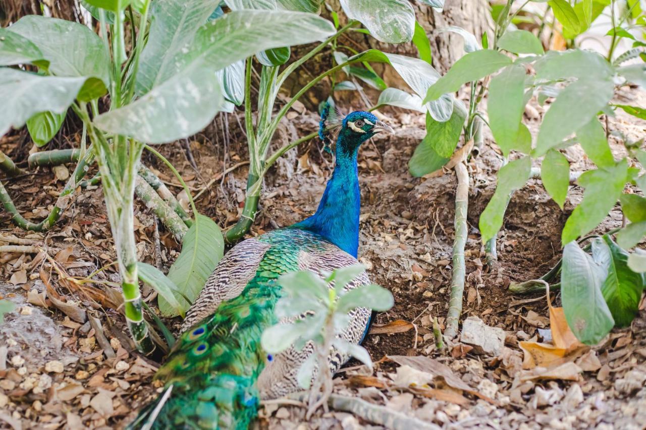 Eco Hotel Villa Martha Turbaco 外观 照片