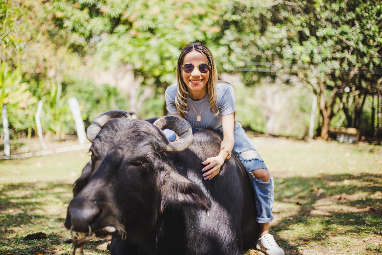 Eco Hotel Villa Martha Turbaco 外观 照片